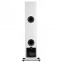 Активная напольная акустика Dali Rubicon 6 C white high gloss + DALI Sound Hub + BluOS Module